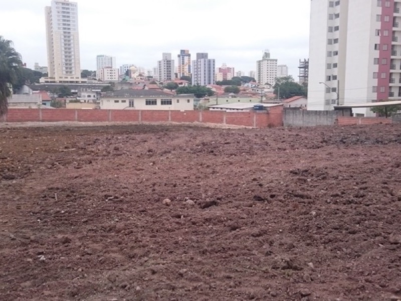 Fotos